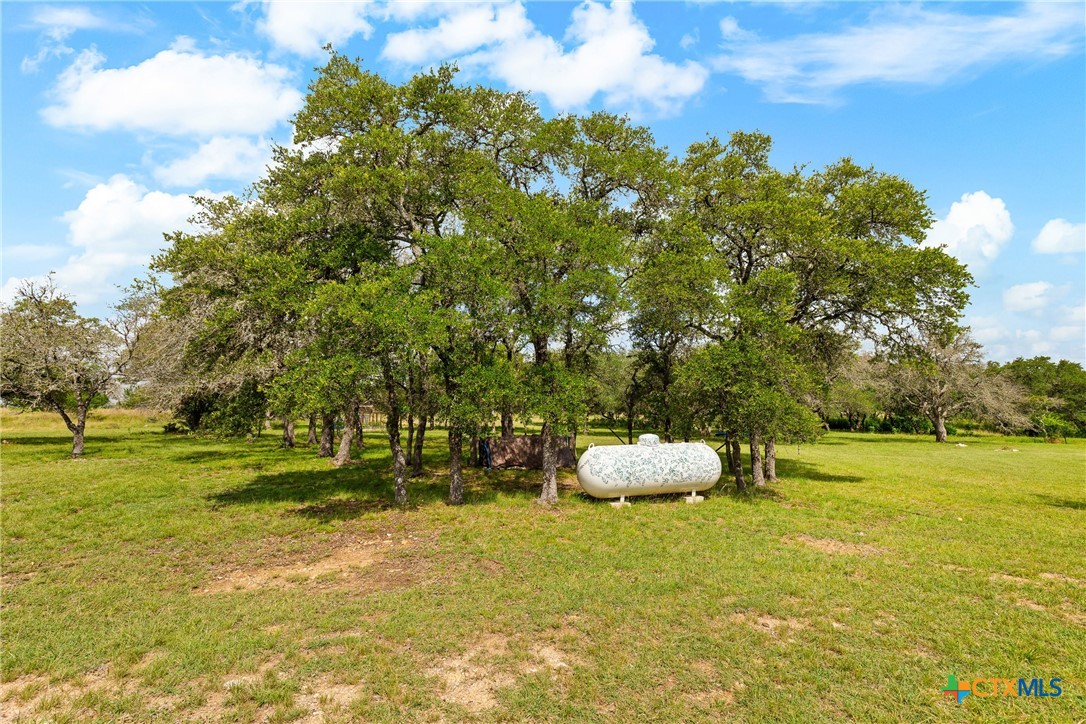 204 Kendall Jackson Comfort, TX 78013 - Photo 13 of 37