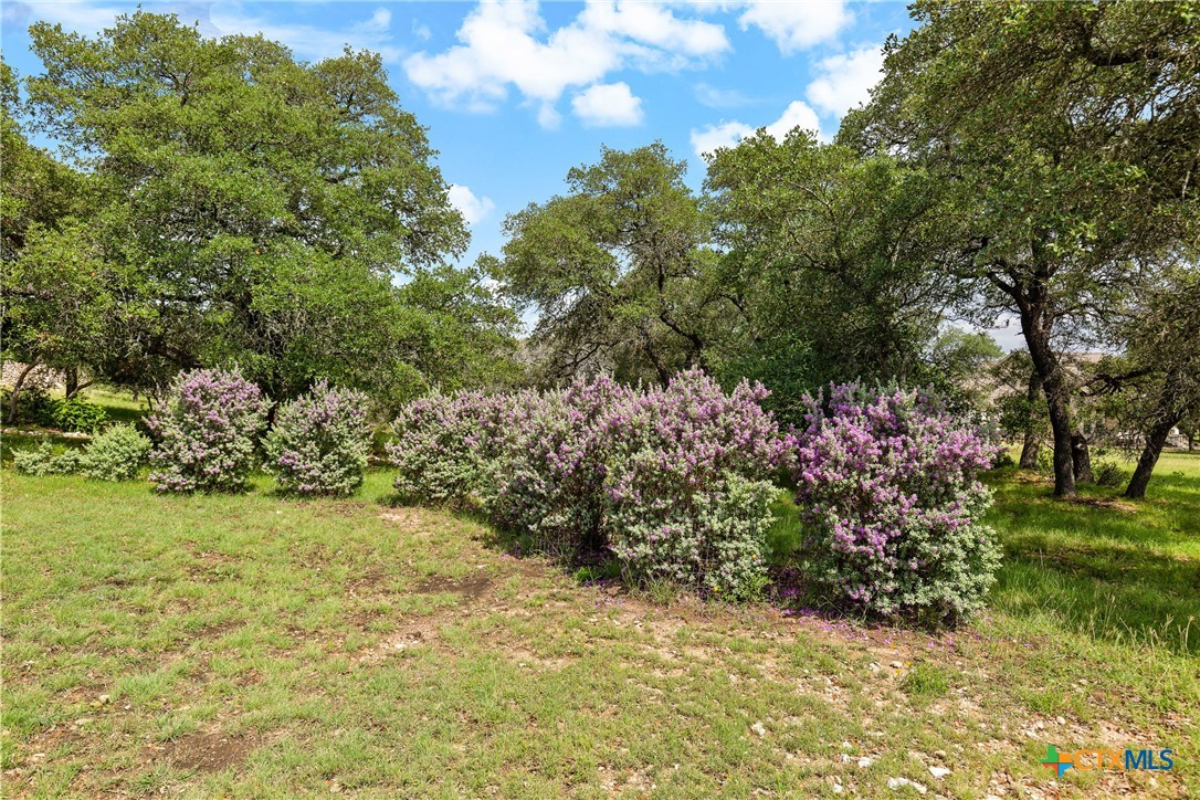 204 Kendall Jackson Comfort, TX 78013 - Photo 17 of 37