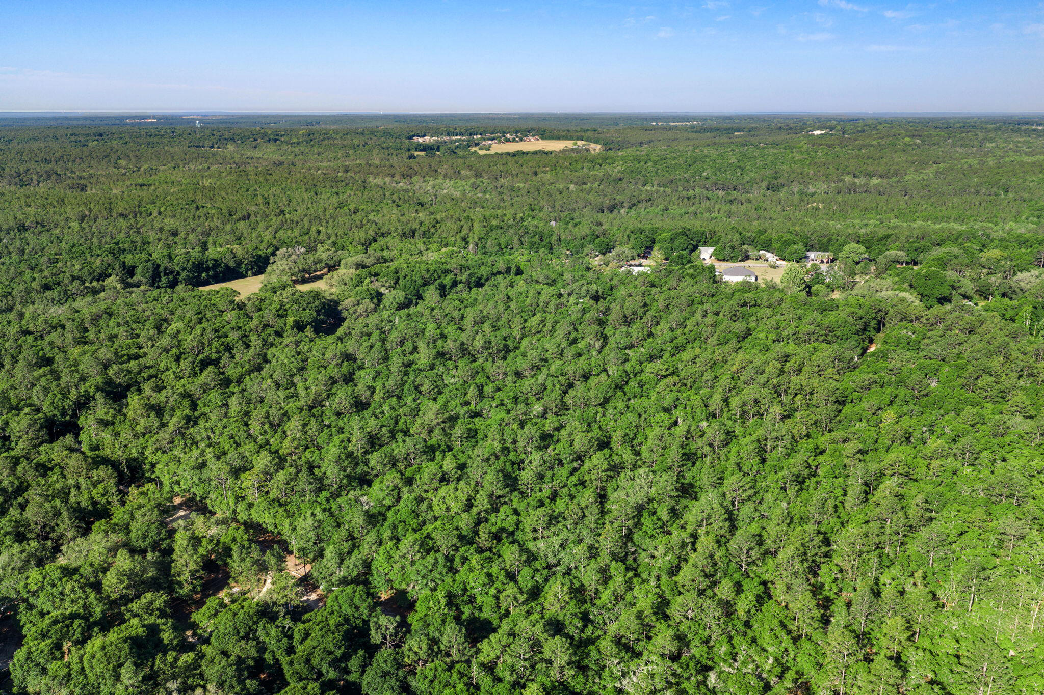 5595 Sam O'Neal Road Baker, FL 32531 - Photo 12 of 15 a view of a big yard with lots of green space