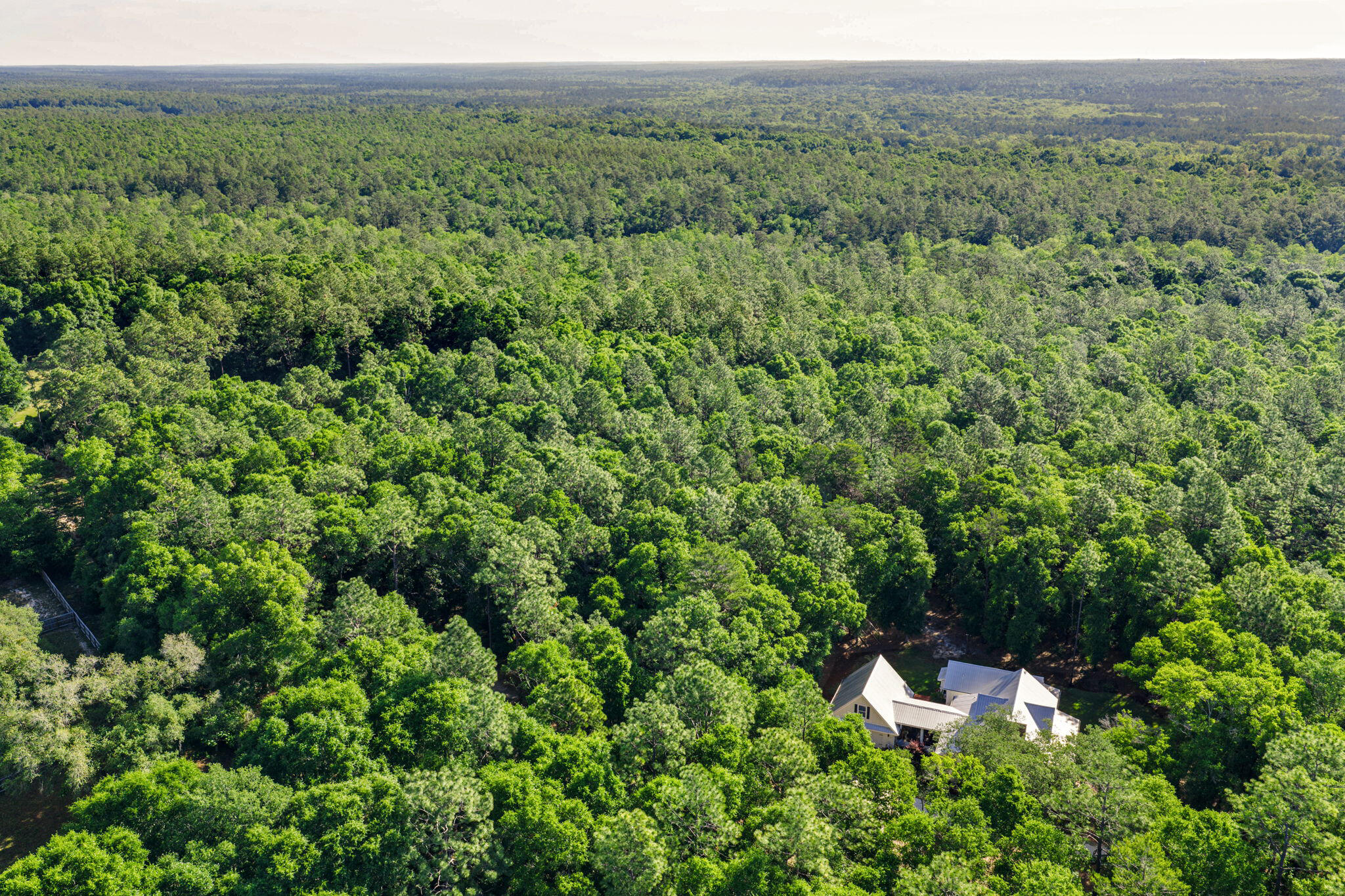 5595 Sam O'Neal Road Baker, FL 32531 - Photo 13 of 15 a view of a forest with a sink