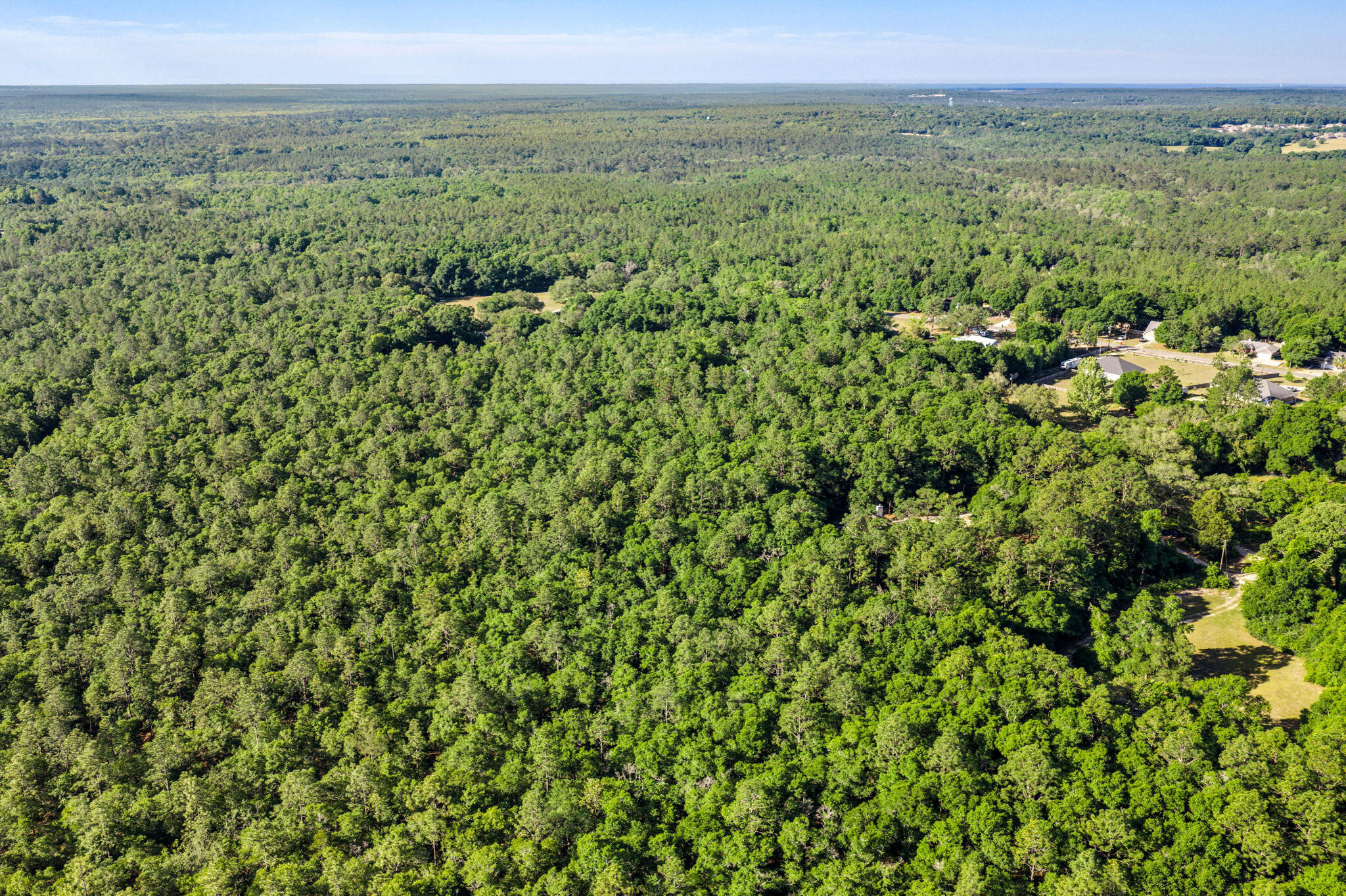 5595 Sam O'Neal Road Baker, FL 32531 - Photo 6 of 15 a view of a lush green field