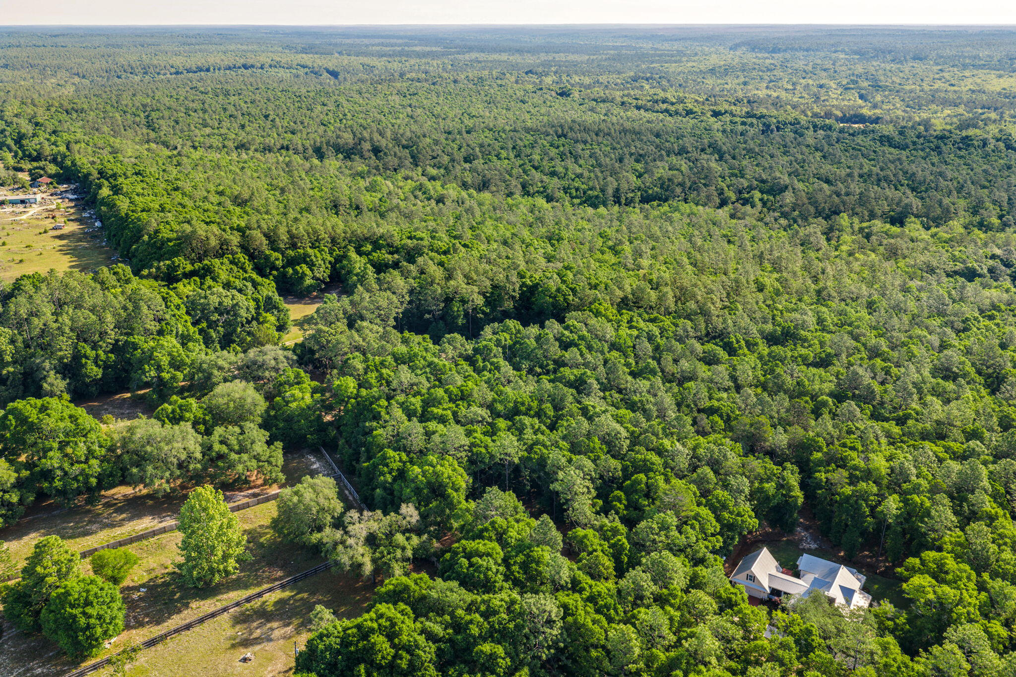 5595 Sam O'Neal Road Baker, FL 32531 - Photo 8 of 15 an aerial view of residential houses with outdoor space and trees