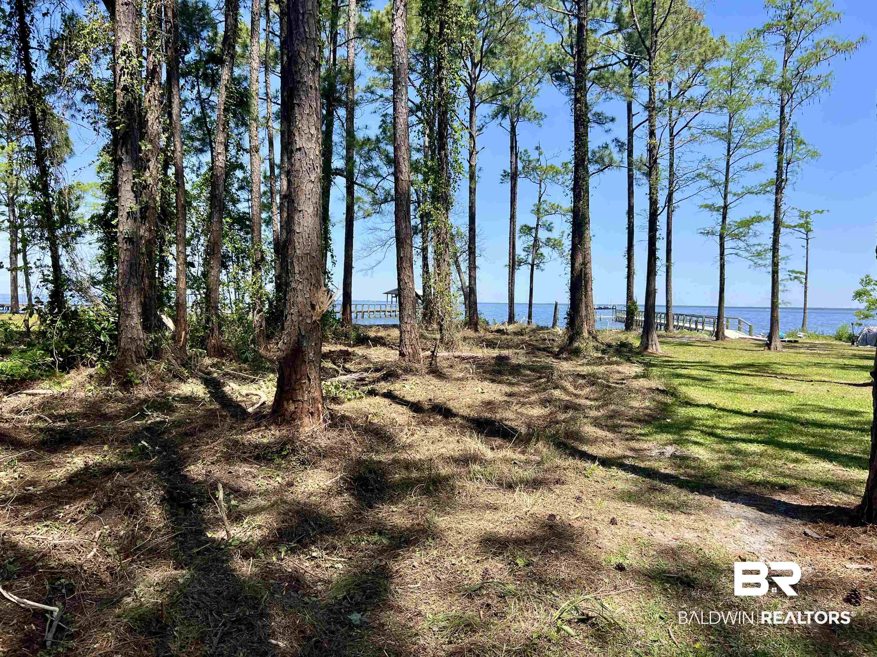 12171 Strong Road Gulf Shores, AL 36542 - Photo 19 of 27 View of nature featuring a water view