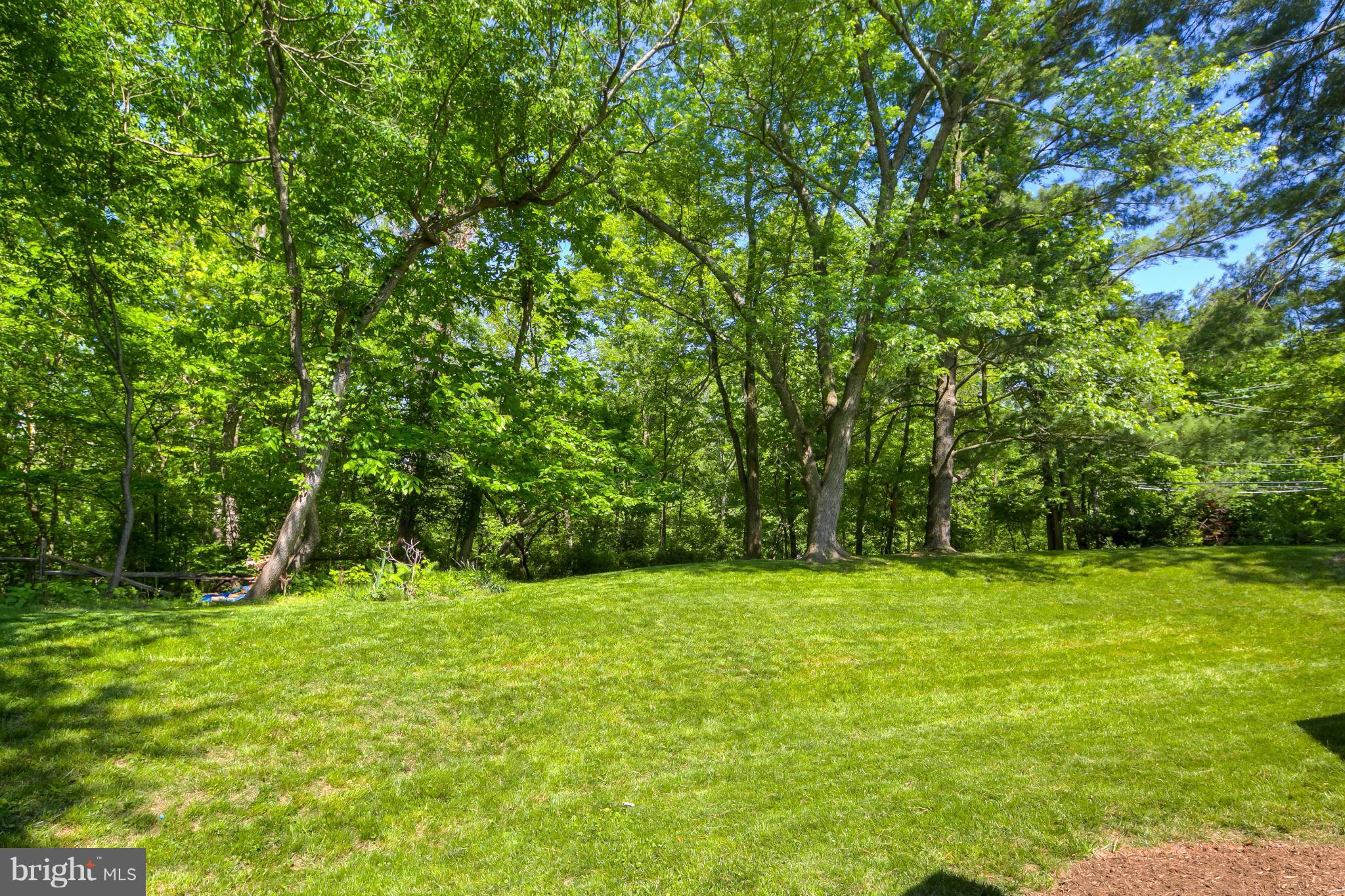 2309 November Lane Reston, VA 20191 - Photo 24 of 29 a view of a green field with trees