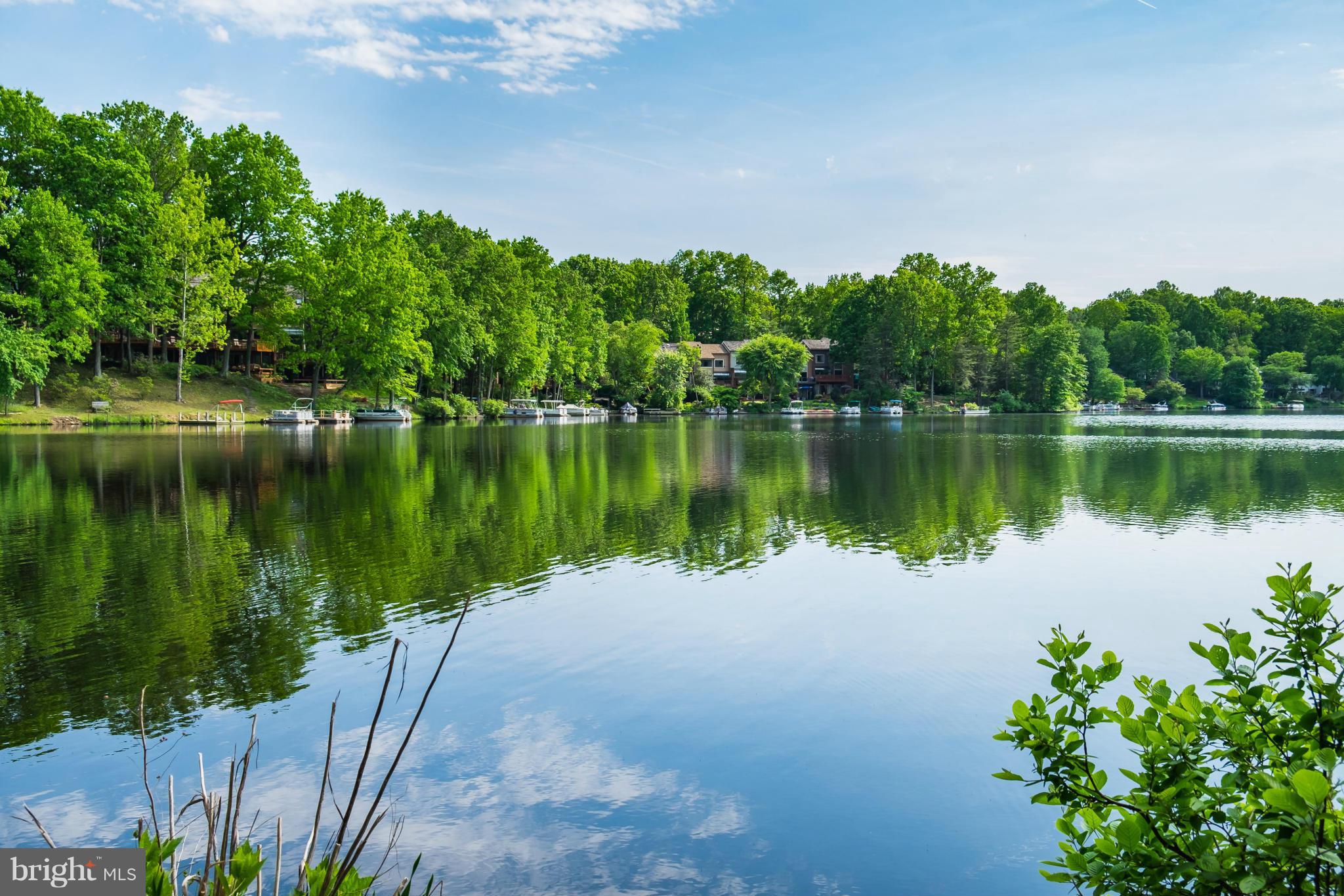 2309 November Lane Reston, VA 20191 - Photo 26 of 29 a view of a lake with a yard and large trees