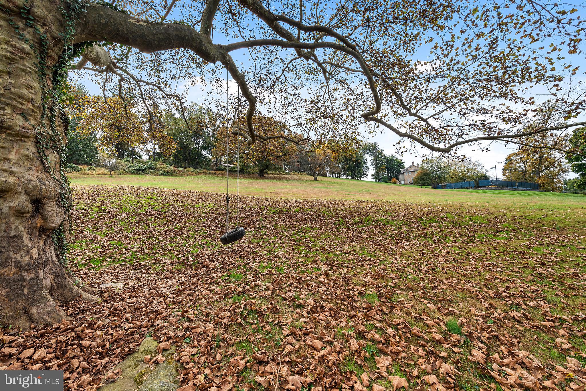 655 Matsonford Road Villanova, PA 19085 - Photo 17 of 63 a view of a field with an trees