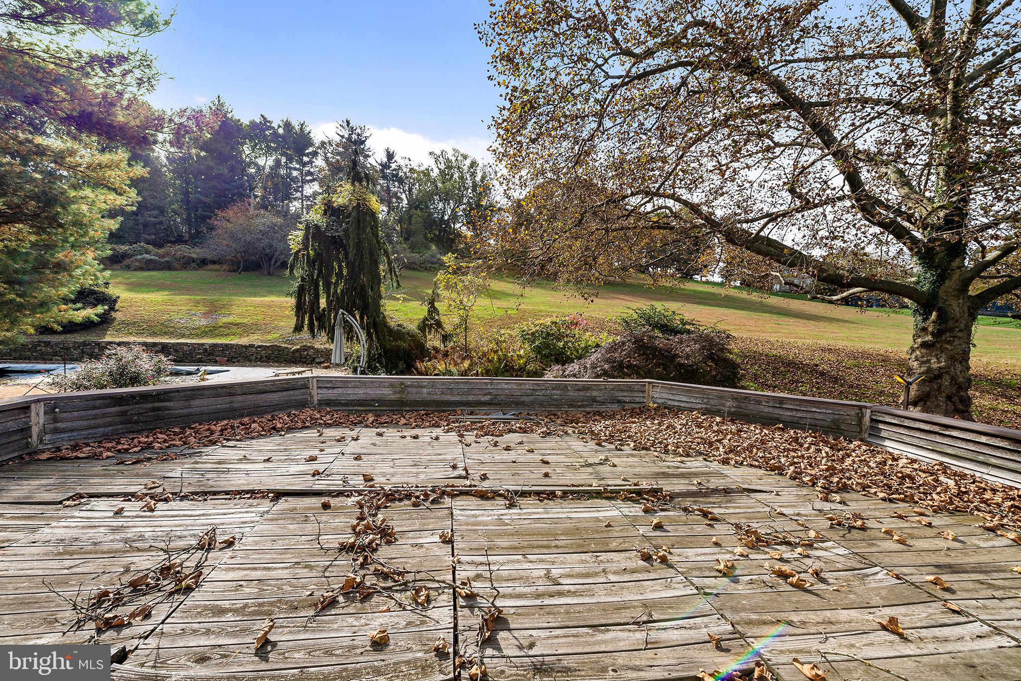 655 Matsonford Road Villanova, PA 19085 - Photo 58 of 63 a view of a yard with trees