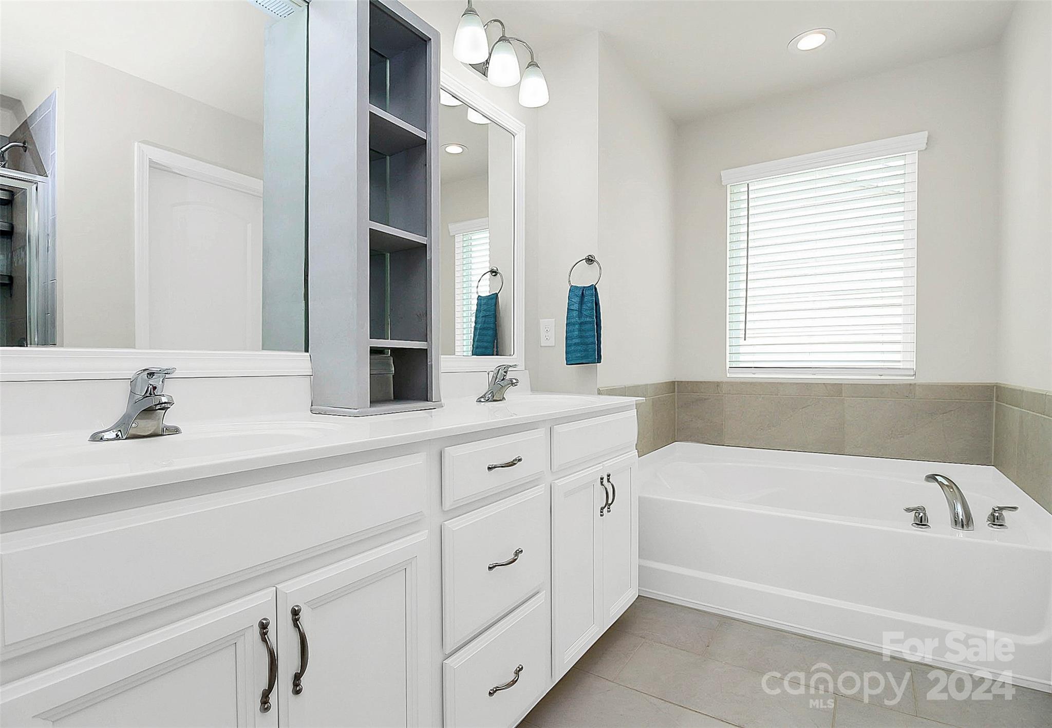 1769 Bailey Ridge Drive York, SC 29745 - Photo 36 of 47 a bathroom with a bathtub a double vanity sink and a large mirror