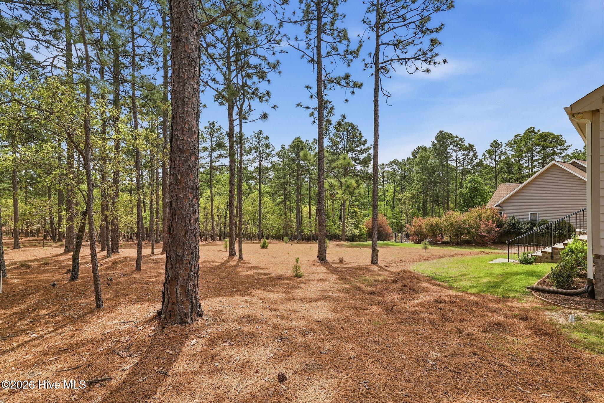 103 Rector Drive West End, NC 27376 - Photo 30 of 46 45_DSC03767