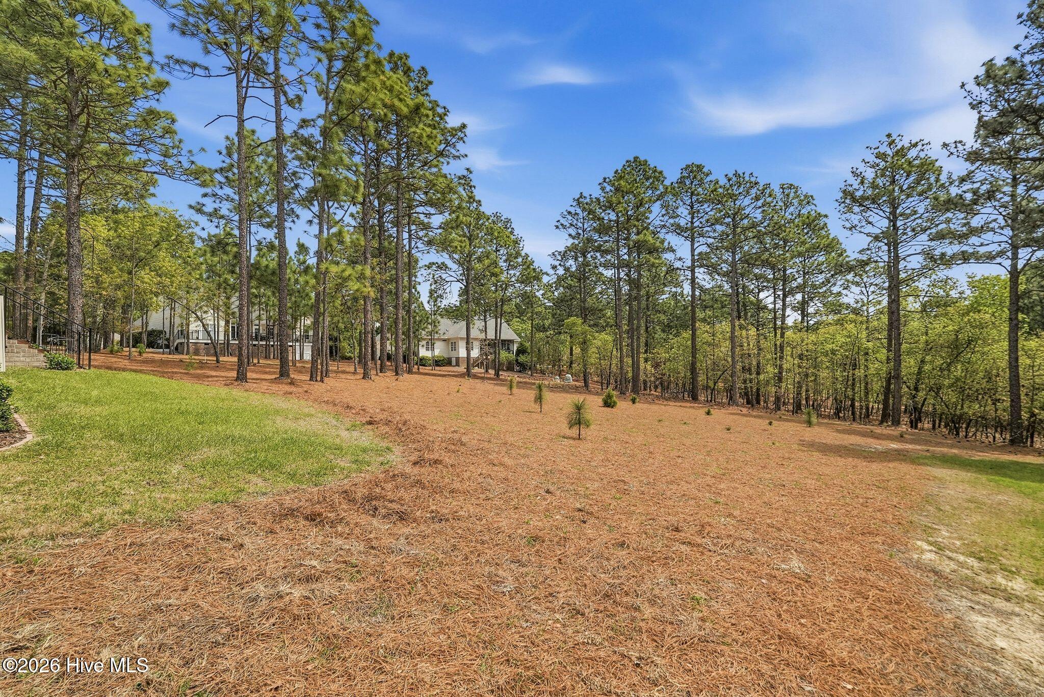 103 Rector Drive West End, NC 27376 - Photo 31 of 46 48_DSC03782