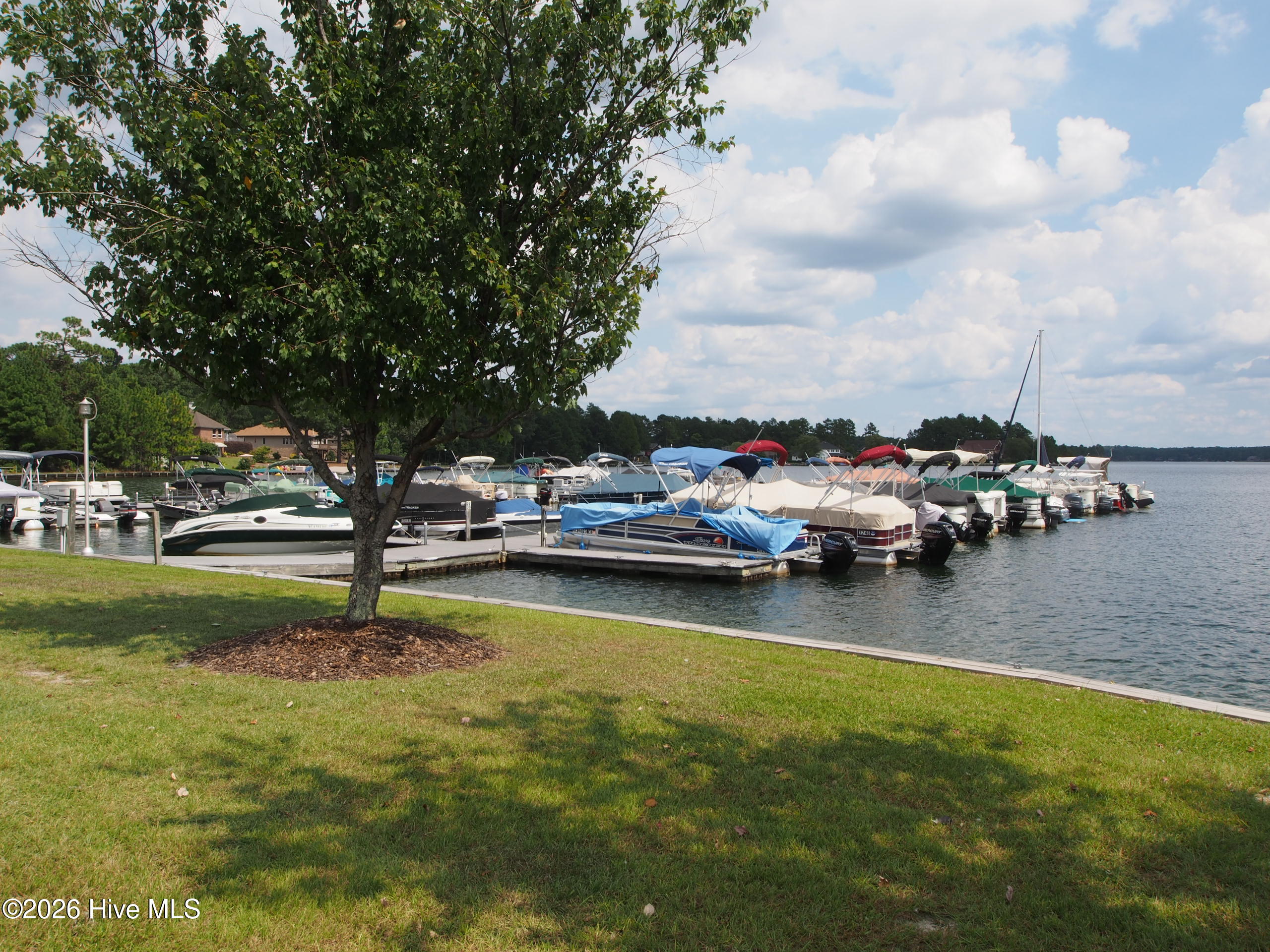 103 Rector Drive West End, NC 27376 - Photo 38 of 46 marina92
