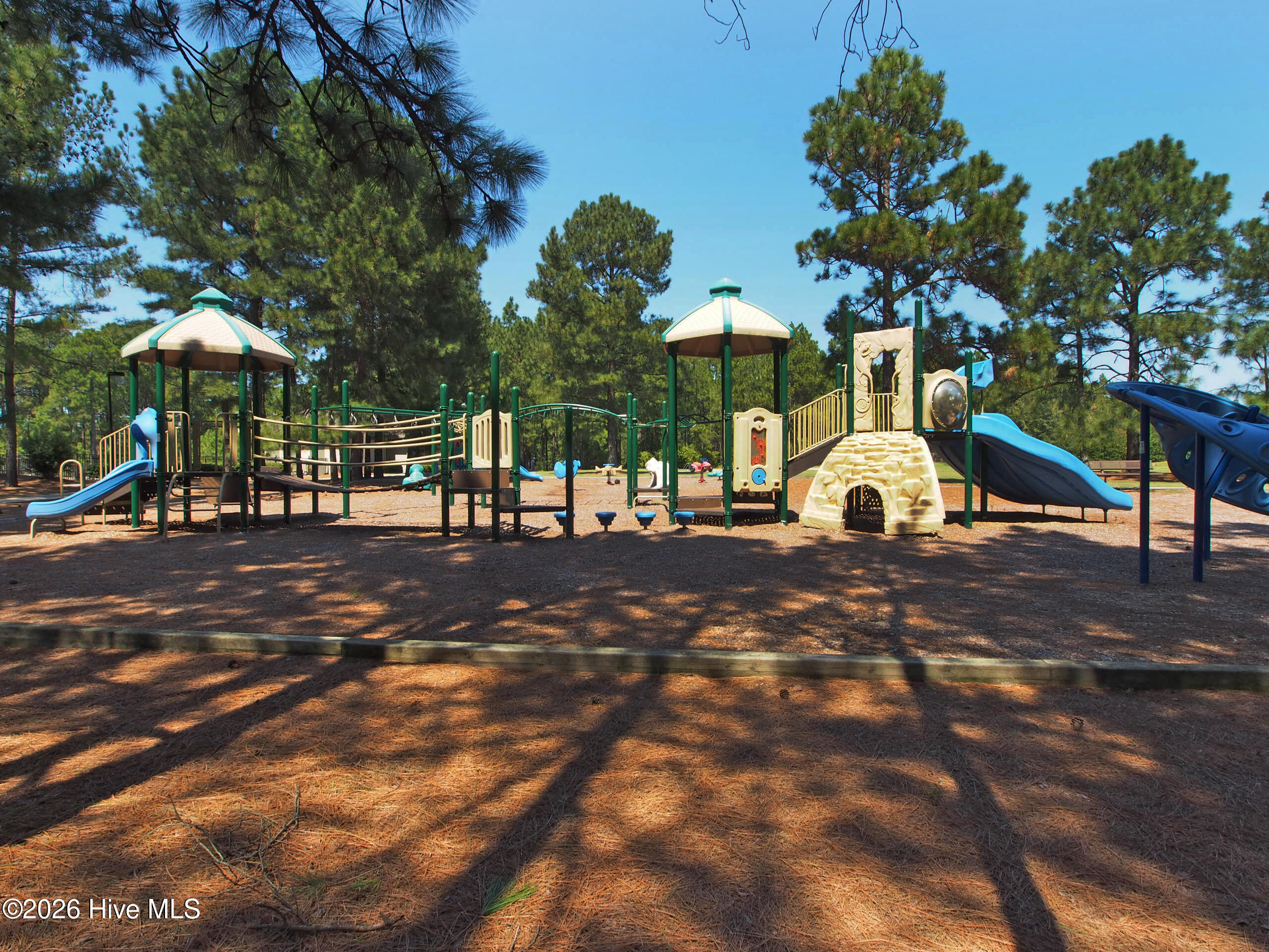 103 Rector Drive West End, NC 27376 - Photo 41 of 46 playground5