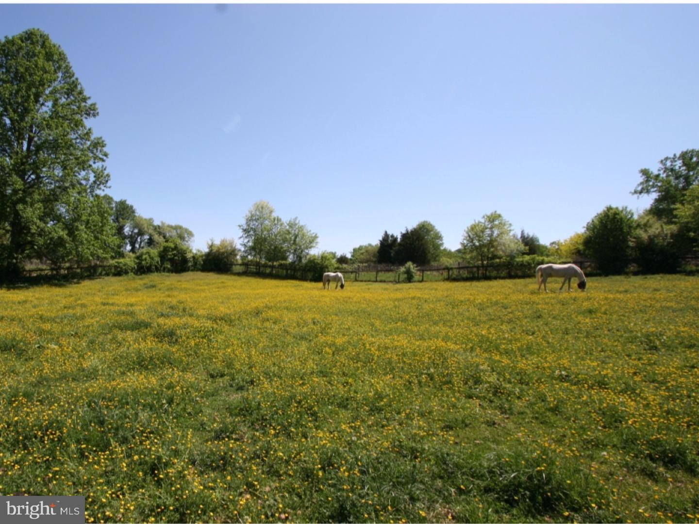 1439 Clover Mill Road Chester Springs, PA 19425 - Photo 21 of 25 View in Back
