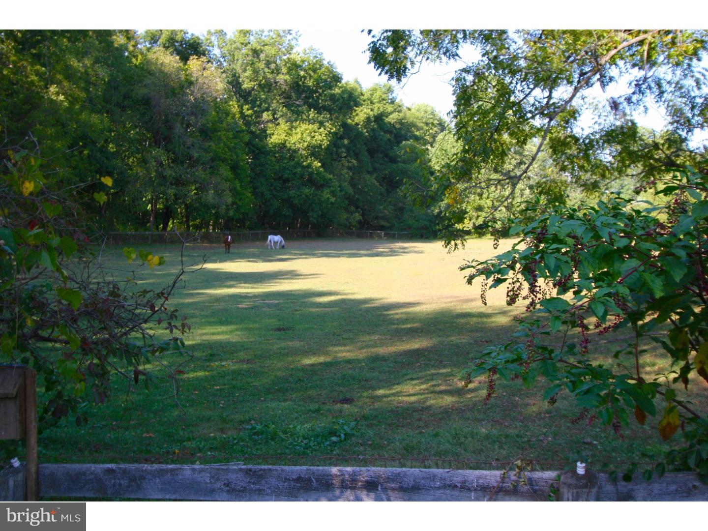1439 Clover Mill Road Chester Springs, PA 19425 - Photo 25 of 25 View in Back