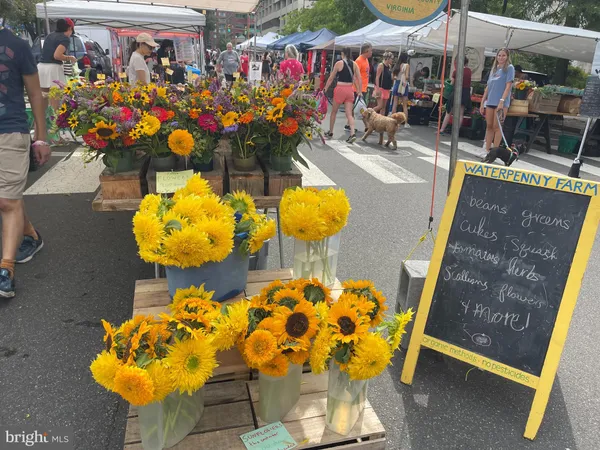 $12,500 | 2504 12th Street North, Arlington, VA 22201