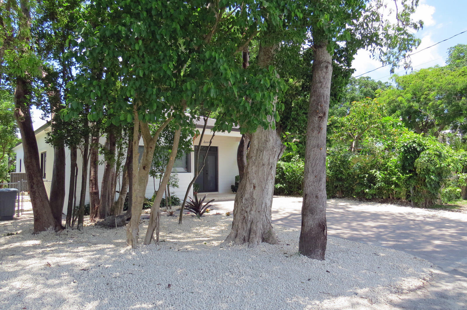 7 Cindy Place Key Largo, FL 33037 - Photo 2 of 31 a view of a park with a tree