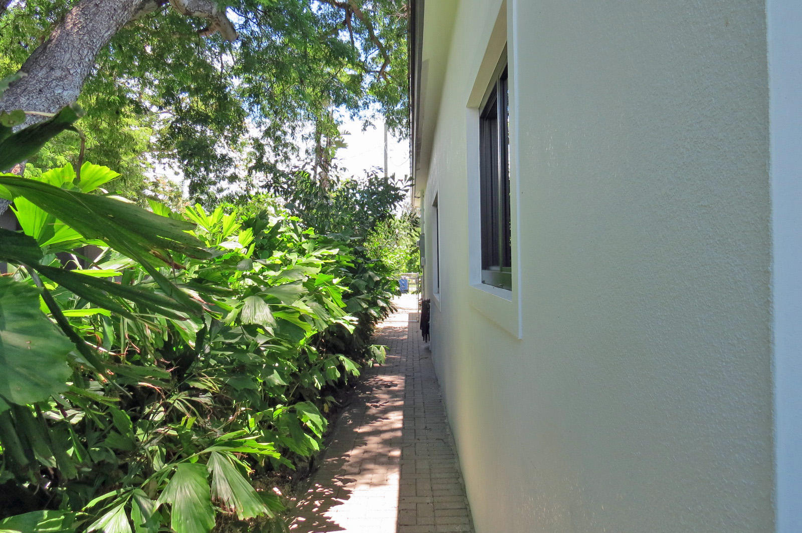 7 Cindy Place Key Largo, FL 33037 - Photo 29 of 31 a view of a yard with a tree