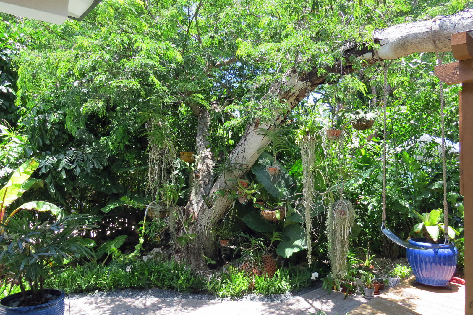 7 Cindy Place Key Largo, FL 33037 - Photo 30 of 31 a view of a potted plants in a backyard