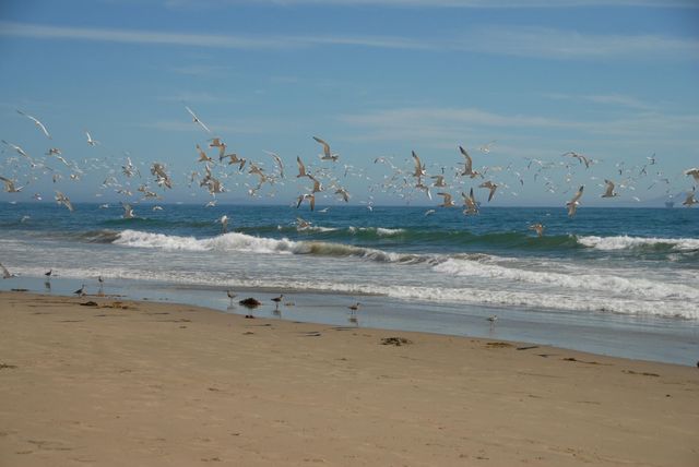 $10,000 | 3749 Santa Claus Lane, Unit A, Carpinteria, CA 93013