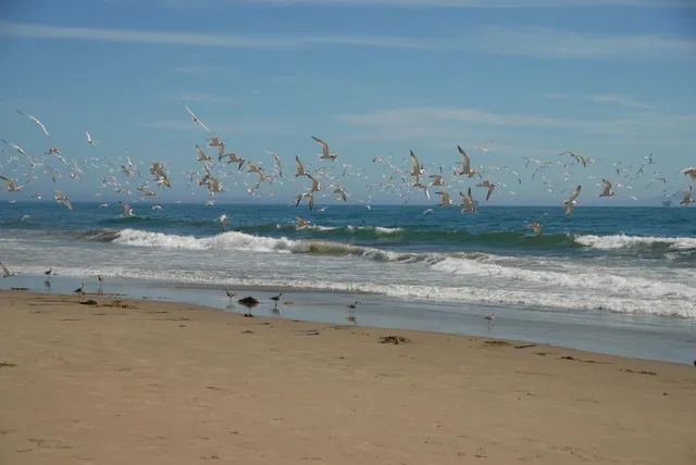 $10,000 | 3749 Santa Claus Lane, Unit A, Carpinteria, CA 93013