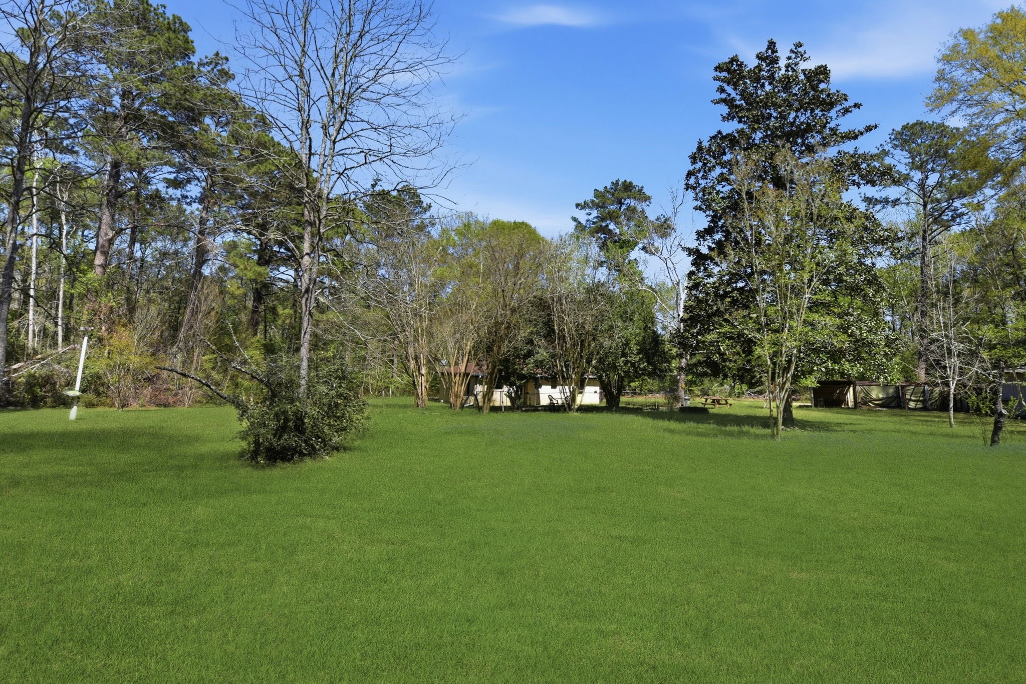 7555 Fm 1725 Road Coldspring, TX 77331 - Photo 23 of 31 a view of a field with a tree