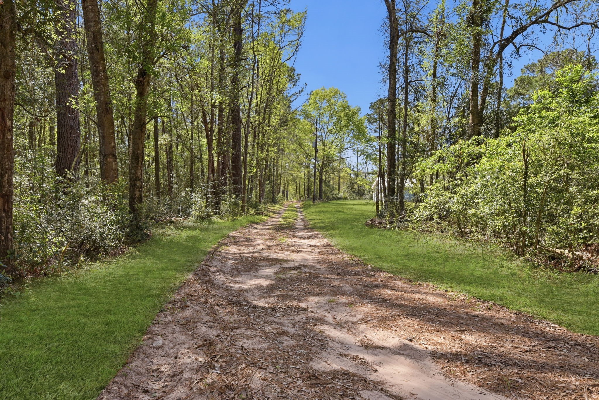 7555 Fm 1725 Road Coldspring, TX 77331 - Photo 25 of 31 a view of a yard with plants