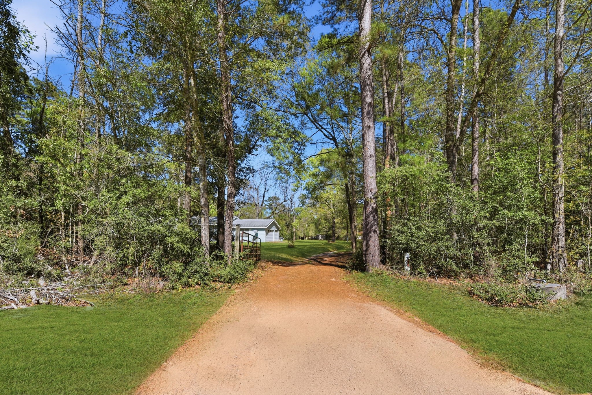 7555 Fm 1725 Road Coldspring, TX 77331 - Photo 26 of 31 a view of a yard with plants and trees