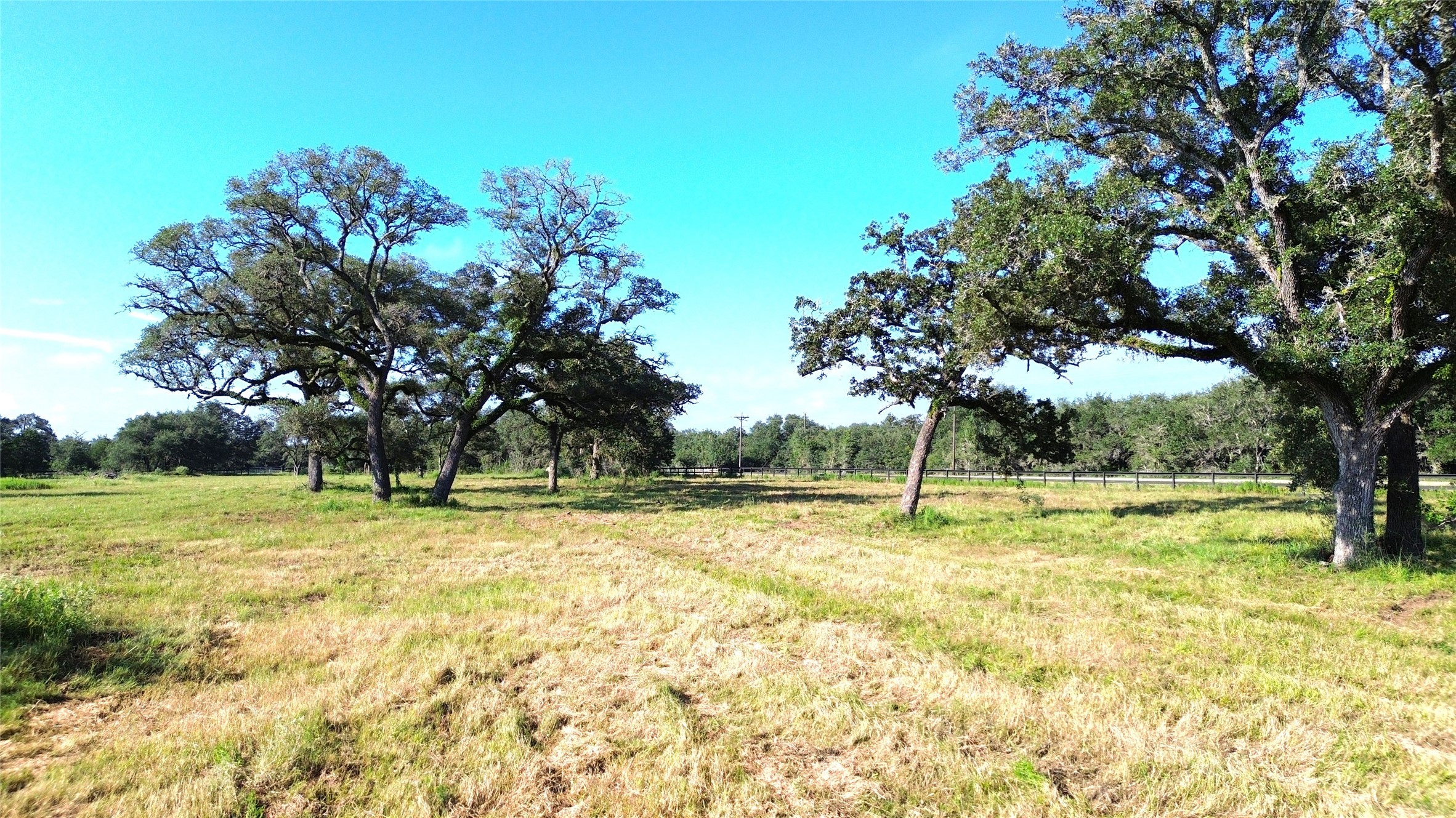 Tbd Oak Ridge Road Weimar, TX 78962 - Photo 11 of 12 a view of a playground with a tree