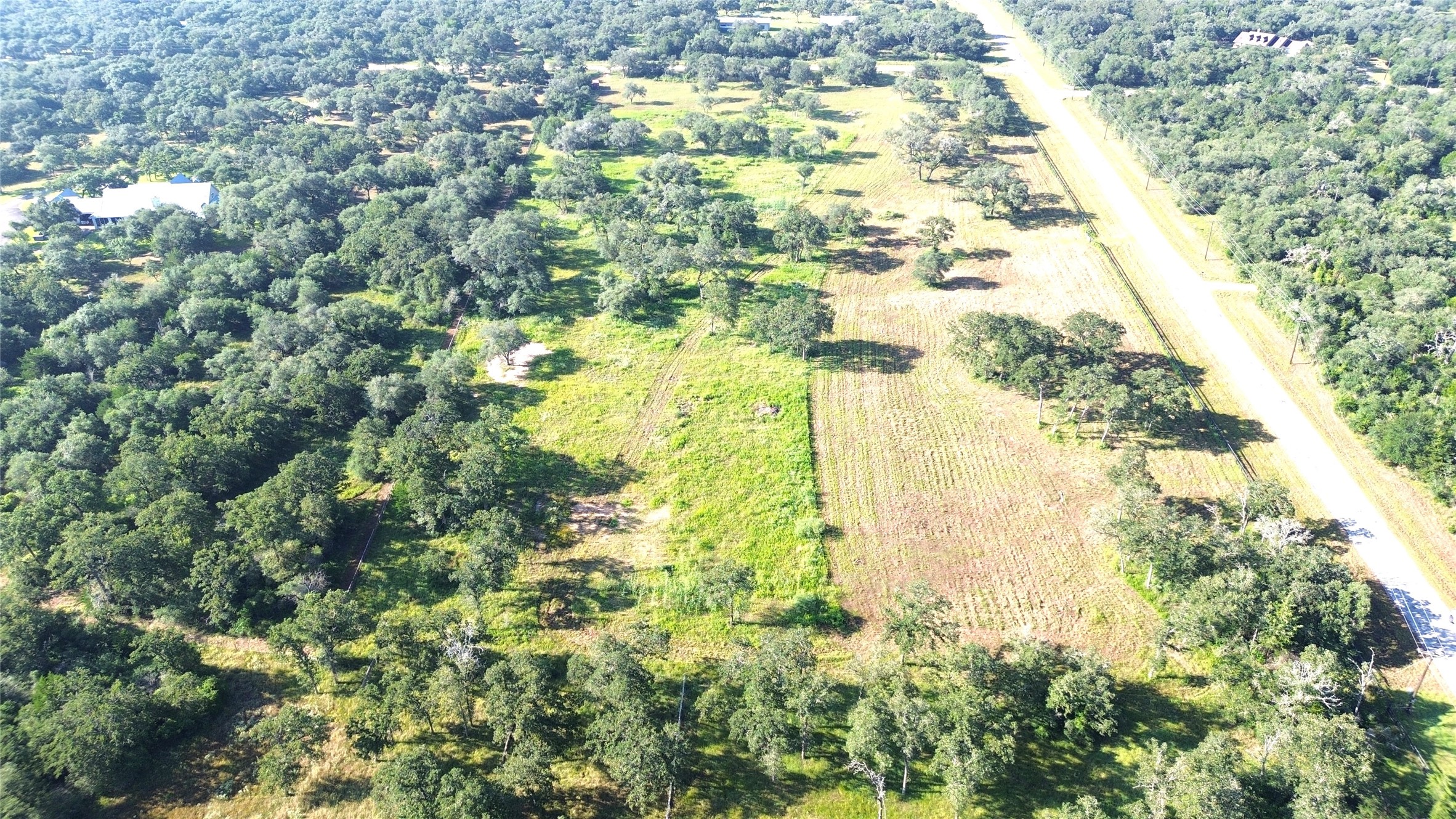 Tbd Oak Ridge Road Weimar, TX 78962 - Photo 2 of 12 a view of a yard with plants