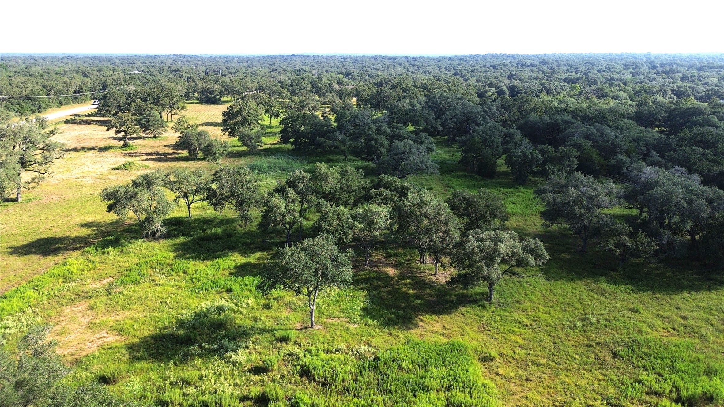 Tbd Oak Ridge Road Weimar, TX 78962 - Photo 4 of 12 a view of a garden with houses