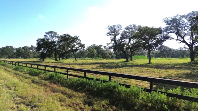 a view of a park with large trees