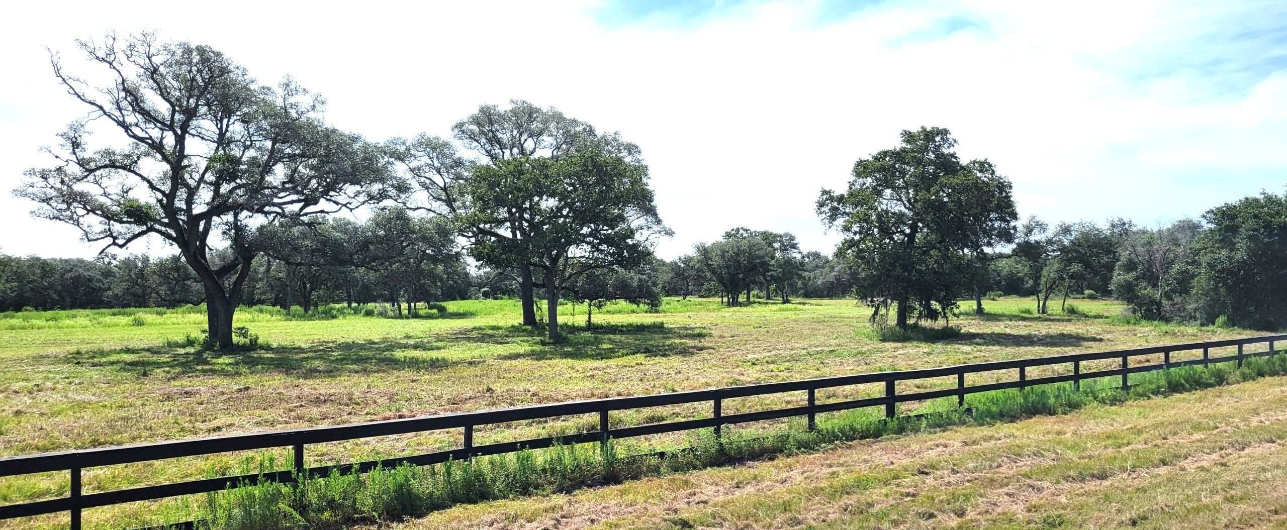 Tbd Oak Ridge Road Weimar, TX 78962 - Photo 7 of 12 a view of an outdoor space and a yard
