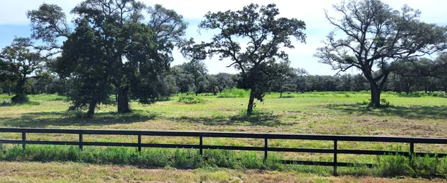 a view of a yard with a trampoline