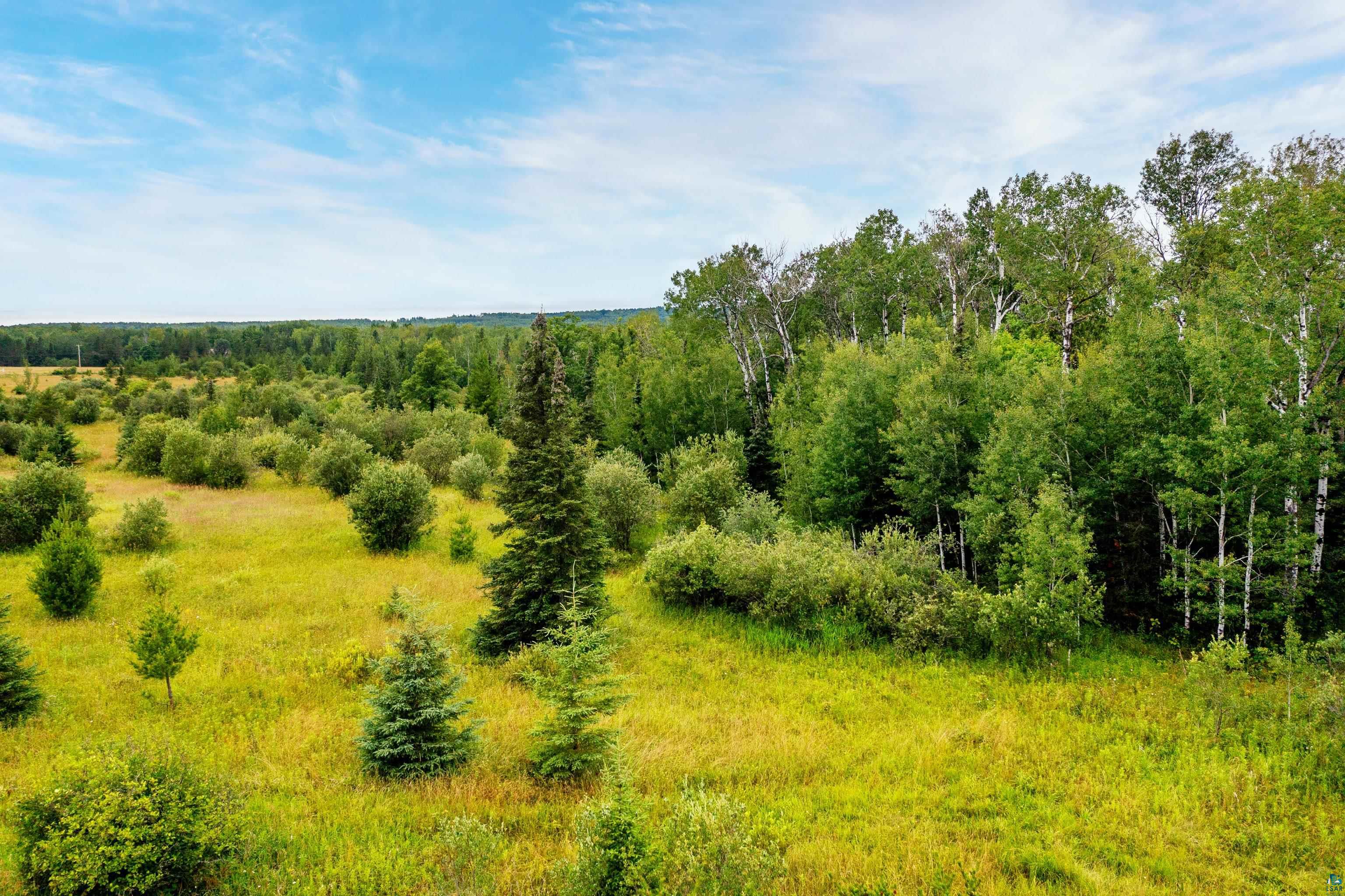 5988 Ryan Road Duluth, MN 55804 - Photo 45 of 50 View of local wilderness