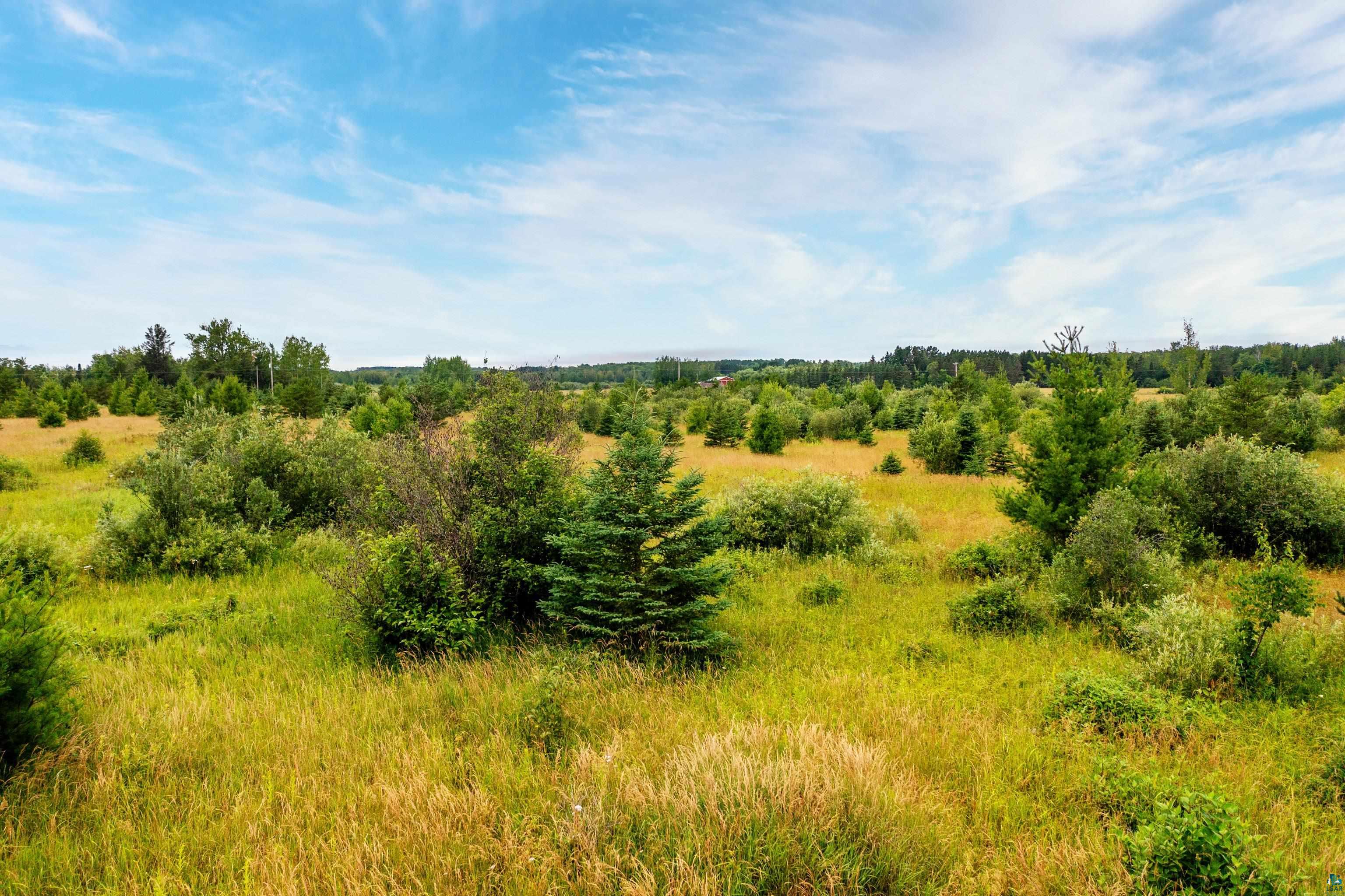 5988 Ryan Road Duluth, MN 55804 - Photo 46 of 50 View of local wilderness featuring a rural view