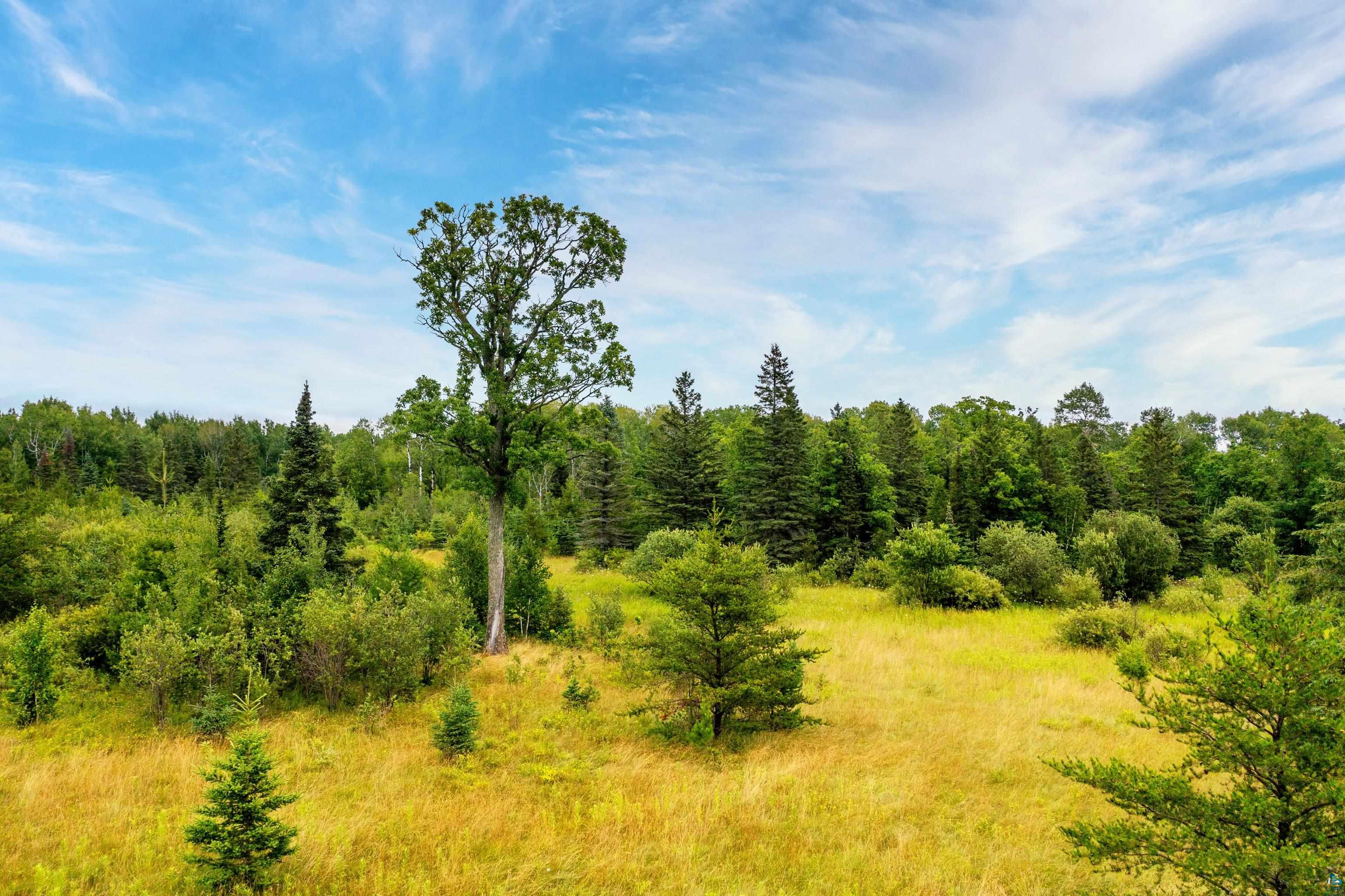 5988 Ryan Road Duluth, MN 55804 - Photo 47 of 50 View of landscape