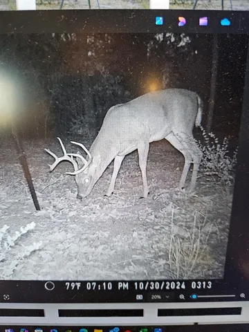 $1,266,520 | 871 County Road 1913, Fruitvale, TX 75127