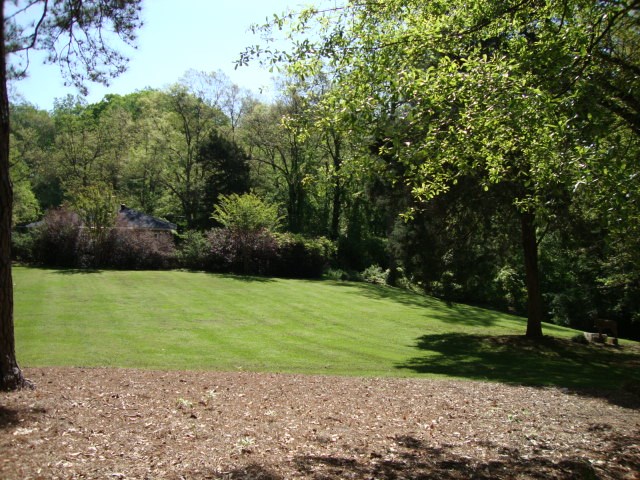 2219 Edgefield Road Spartanburg, SC 29302 - Photo 24 of 25 Gallery Image 24