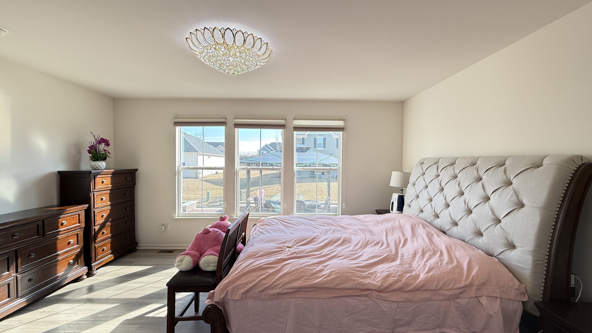 16143 Lake View Road Plainfield, IL 60586 - Photo 19 of 45