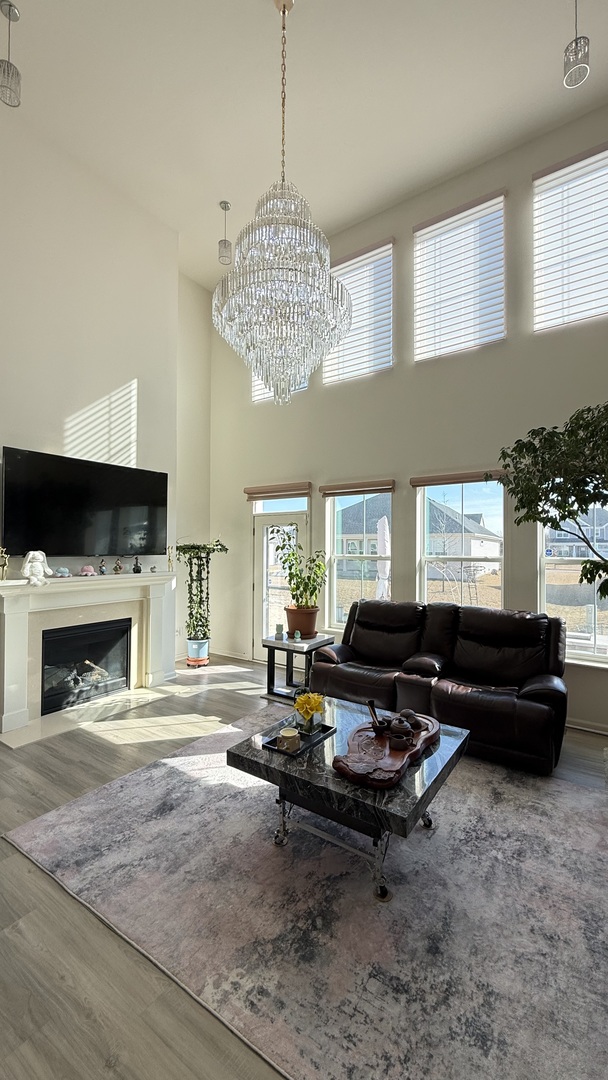 16143 Lake View Road Plainfield, IL 60586 - Photo 4 of 45