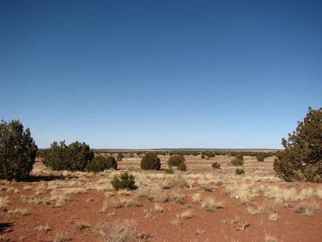 10 T14n R17e:nw4 Se4 Heber, AZ 85928 - Photo 3 of 5