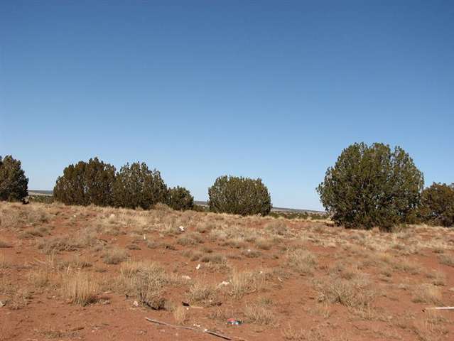 10 T14n R17e:nw4 Se4 Heber, AZ 85928 - Photo 4 of 5