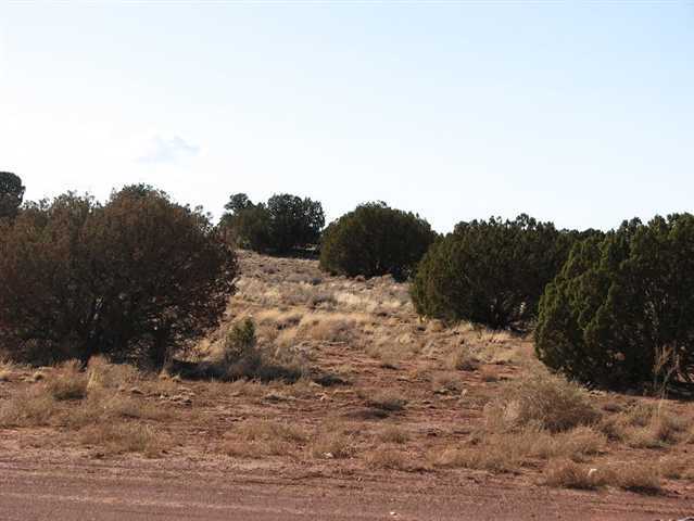 10 T14n R17e:nw4 Se4 Heber, AZ 85928 - Photo 5 of 5