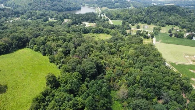 an aerial view of residential houses with outdoor space and trees
