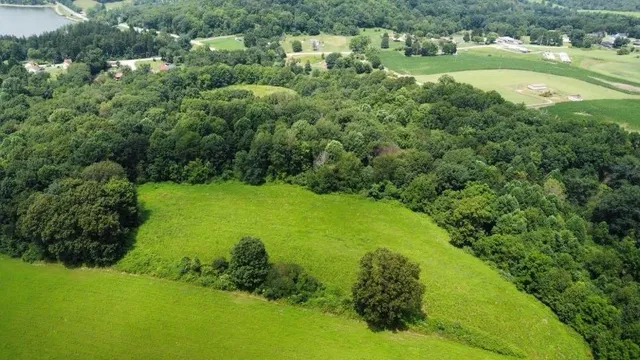 a view of a garden with a building