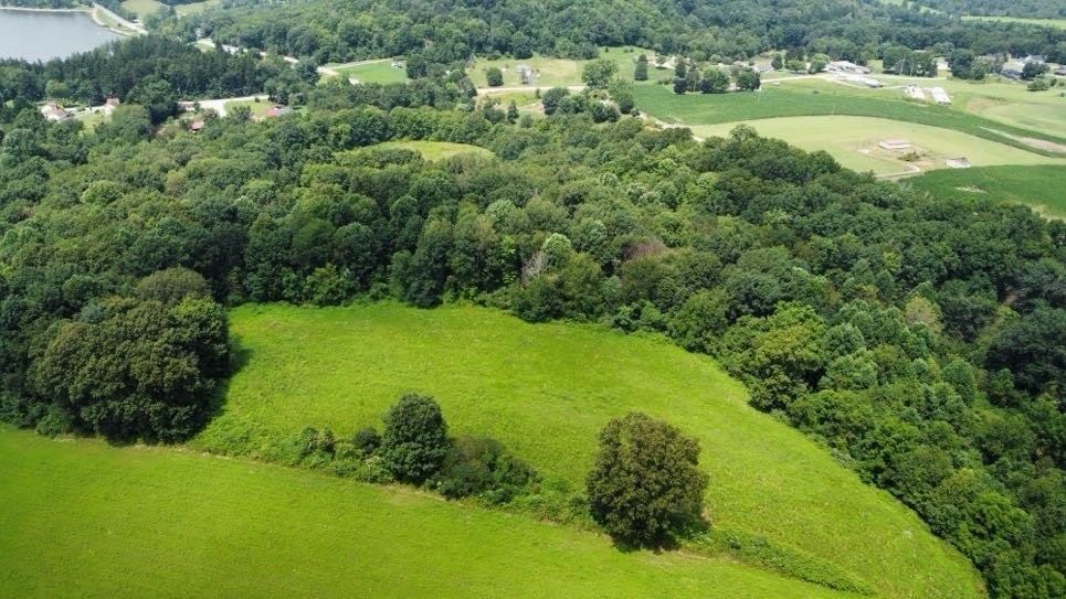 659 Alexander Road Latrobe, PA 15650 - Photo 4 of 15 a view of a garden with a building