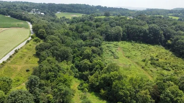 a view of a lush green forest with trees and some houses