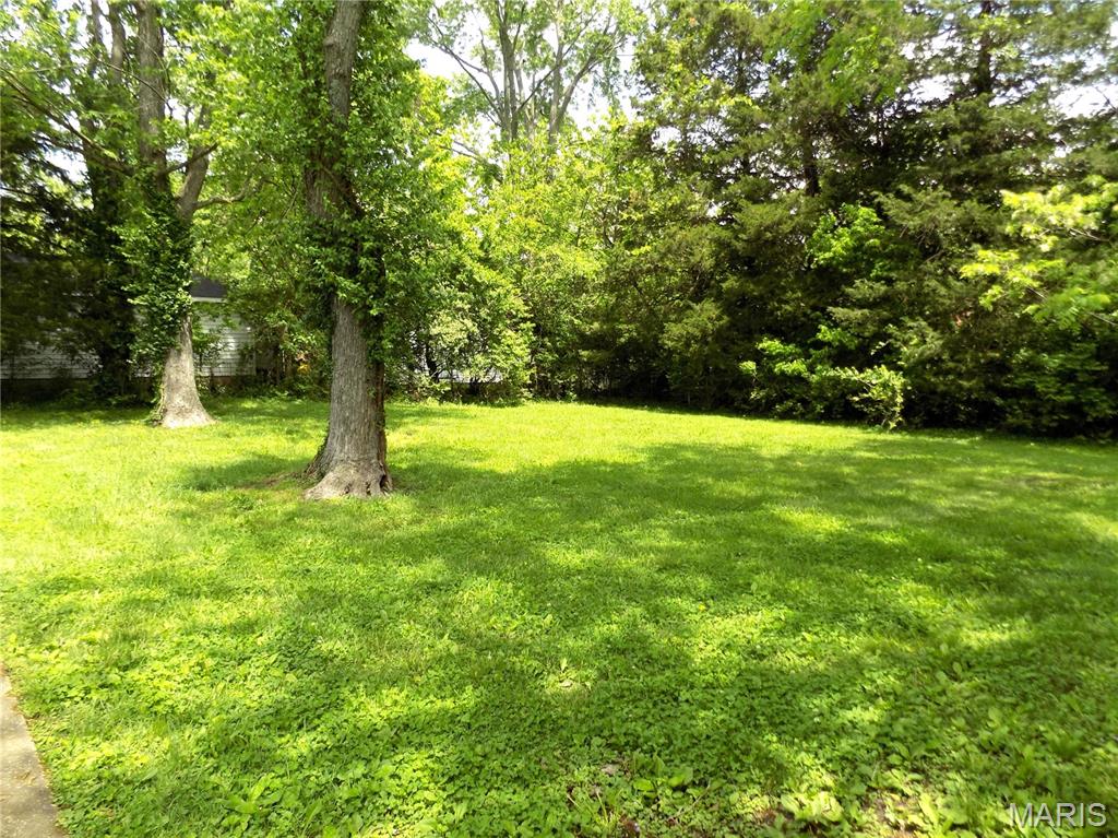 208 North Walnut Street Rolla, MO 65401 - Photo 21 of 29