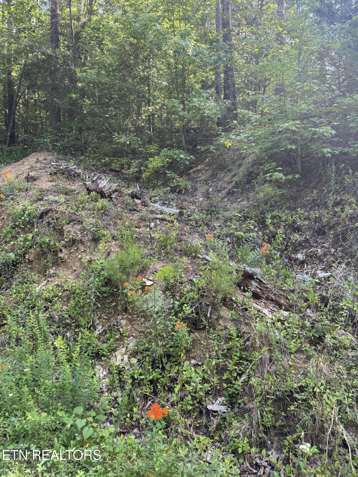 Lot 23 Walden Ridge Road Sevierville, TN 37862 - Photo 11 of 15 IMG_6023