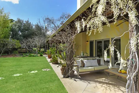 a view of a patio with couches plants and large trees